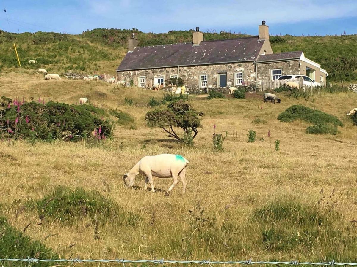 1 Bryn Tirion Uchaf Villa พุชเฮลี ภายนอก รูปภาพ