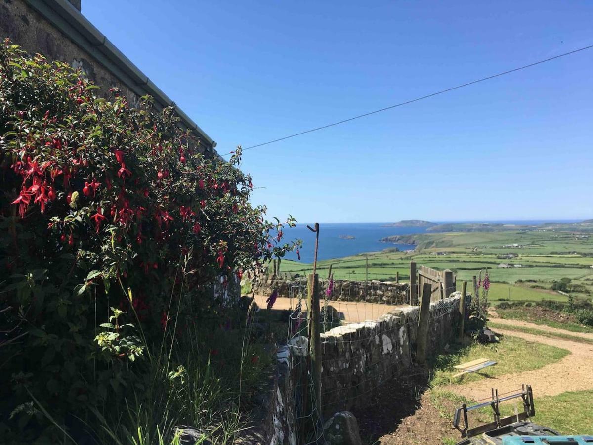 1 Bryn Tirion Uchaf Villa พุชเฮลี ภายนอก รูปภาพ